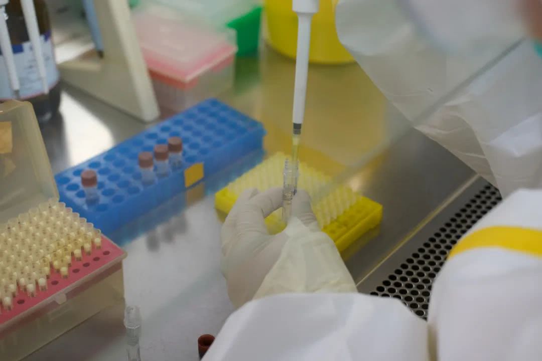 核酸檢測又降價(jià)！多地增設(shè)24小時(shí)檢測服務(wù)機(jī)構(gòu)